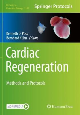 Cardiac Regeneration