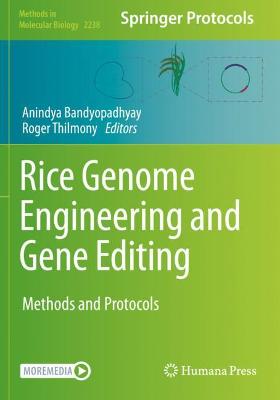 Rice Genome Engineering and Gene Editing