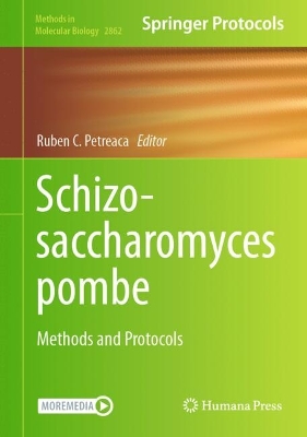 Schizosaccharomyces pombe