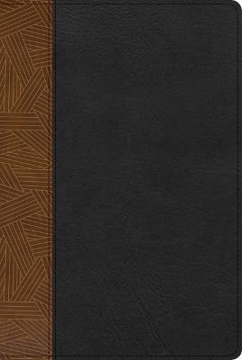 RVR 1960 Biblia de Estudio Arco Iris, tostado/negro simil pi