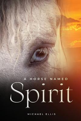 Horse Named Spirit