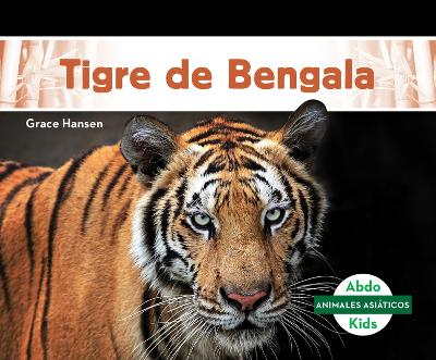 Tigre de Bengala (Bengal Tiger)