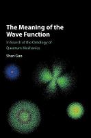 Meaning of the Wave Function