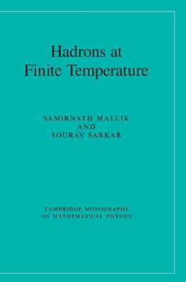 Hadrons at Finite Temperature