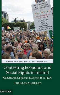 Contesting Economic and Social Rights in Ireland