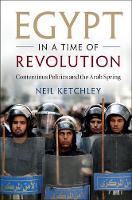 Egypt in a Time of Revolution