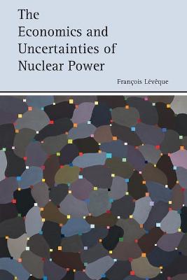 The Economics and Uncertainties of Nuclear Power