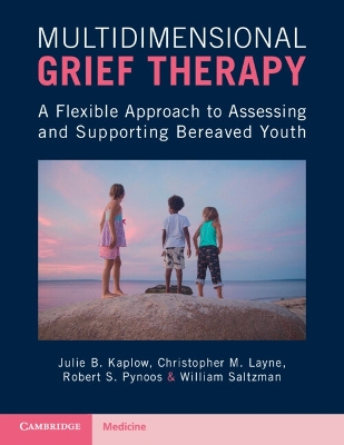 Multidimensional Grief Therapy
