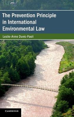 Prevention Principle in International Environmental Law