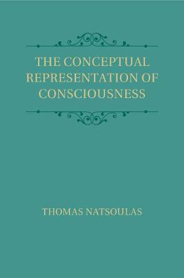 Conceptual Representation of Consciousness