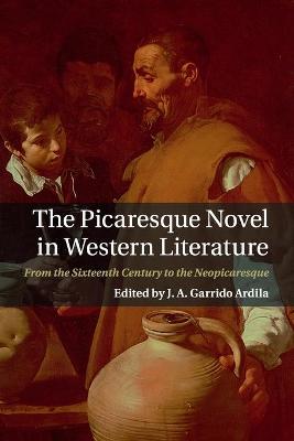Picaresque Novel in Western Literature