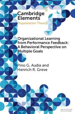 Organizational Learning from Performance Feedback: A Behavioral Perspective on Multiple Goals