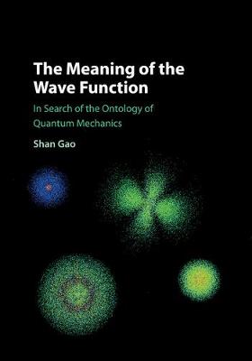 Meaning of the Wave Function