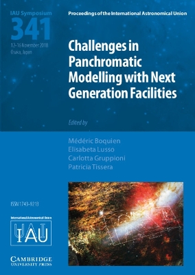 Challenges in Panchromatic Modelling with Next Generation Facilities (IAU S341)