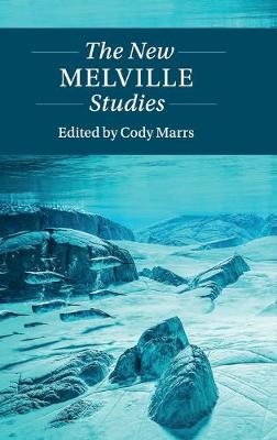 The New Melville Studies