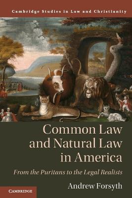 Common Law and Natural Law in America