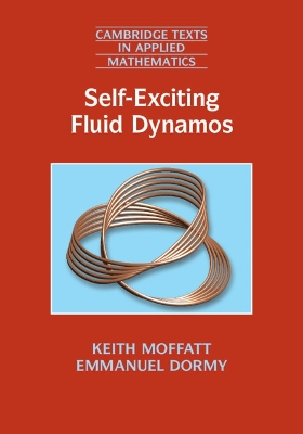 Self-Exciting Fluid Dynamos