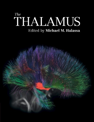 The Thalamus