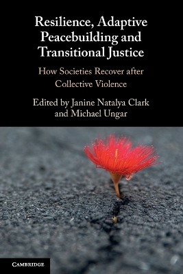 Resilience, Adaptive Peacebuilding and Transitional Justice