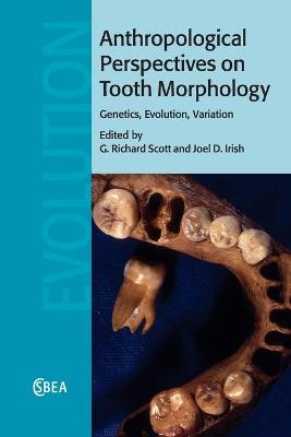 Anthropological Perspectives on Tooth Morphology