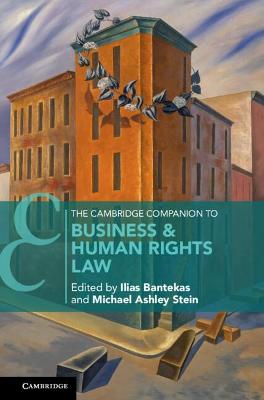 Cambridge Companion to Business and Human Rights Law