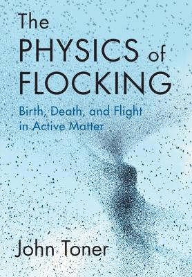 Physics of Flocking