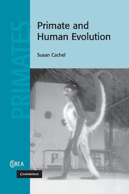 Primate and Human Evolution