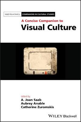 Concise Companion to Visual Culture
