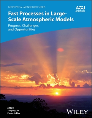 Fast Processes in Large-Scale Atmospheric Models