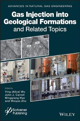 Gas Injection into Geological Formations and Related Topics