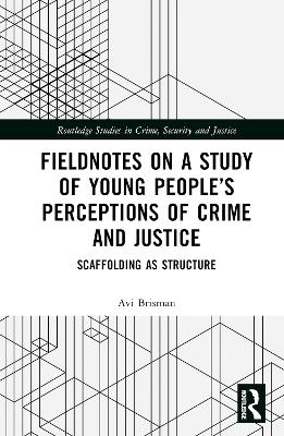 Fieldnotes on a Study of Young People's Perceptions of Crime and Justice
