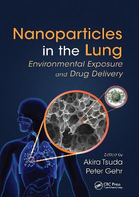 Nanoparticles in the Lung