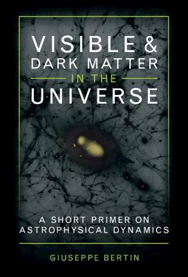 Visible and Dark Matter in the Universe