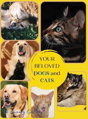Your Beloved Dogs and Cats