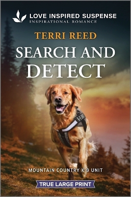 Search and Detect