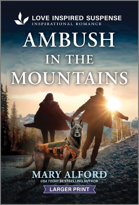 Ambush in the Mountains