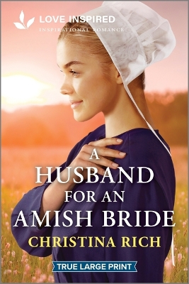 A Husband for an Amish Bride