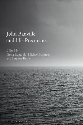 John Banville and His Precursors