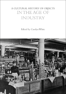 Cultural History of Objects in the Age of Industry