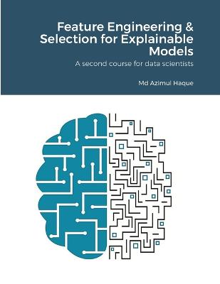 Feature Engineering & Selection for Explainable Models