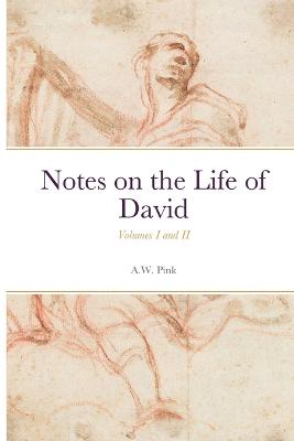 Notes on the Life of David