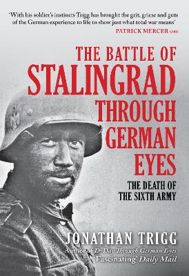 The Battle of Stalingrad Through German Eyes