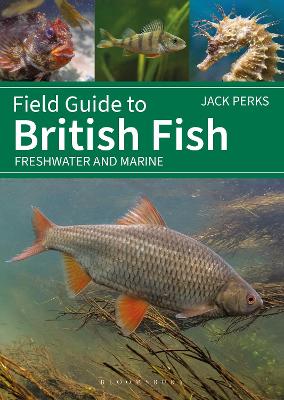 Field Guide to British Fish