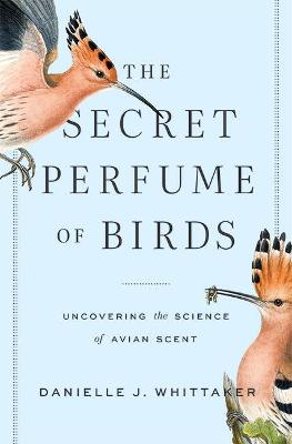 Secret Perfume of Birds