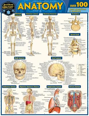 Anatomy Quizzer