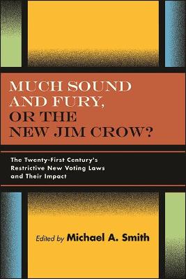 Much Sound and Fury, or the New Jim Crow?