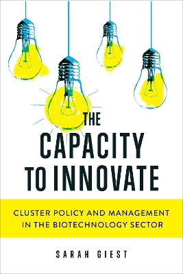 The Capacity to Innovate