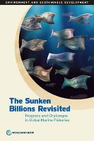 The sunken billions revisited