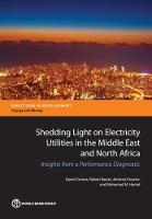 Shedding Light on Electricity Utilities in the Middle East and North Africa