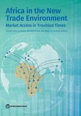 Africa in the New Trade Environment